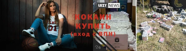 амф Верея