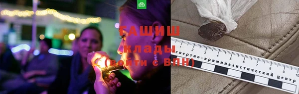 амф Верея