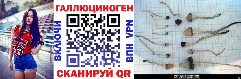 Псилоцибиновые грибы ЛСД  как найти   Галич 